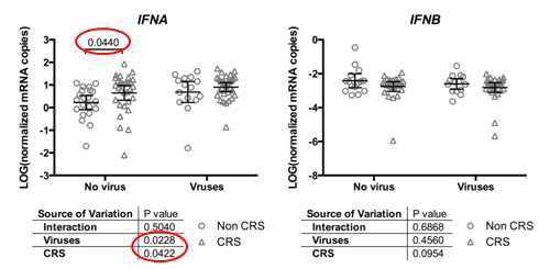 만성 부비동염군(CRS)과 대조군(non-CRS)의 비강세척액에서 IFN-α, IFN-β mRNA 발현량