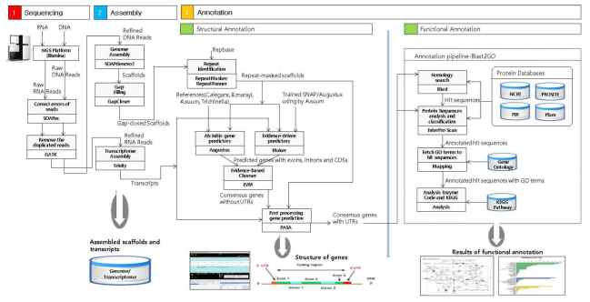유전체 분석을 위한 어셈블리 파이프라인