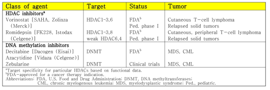 임상에 사용 중인 후성유전체관련 항암제