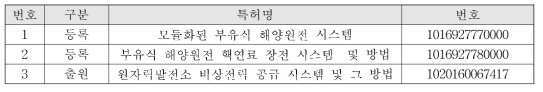 특허 실적 내용