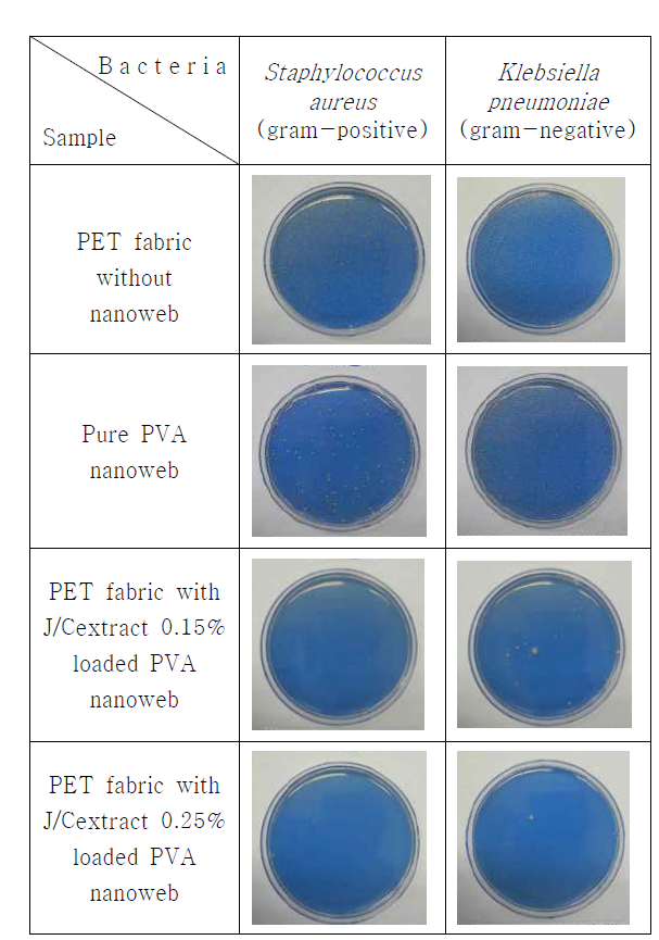 The antimicrobial abilities of PET fabrics without and with Juniperus Chinensis extract 0.15%, 0.25% loaded PVA nanoweb