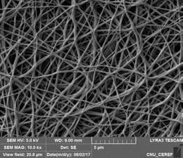 SEM images of nanofiber.