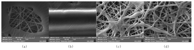 SEM images of electrospun PU nanocomposite coated with PU adhesive(2g/㎡) after calendering various temperature