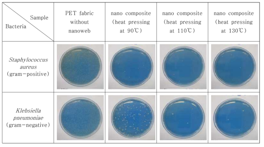 Antimicrobial abilities of Juniperus Chinensis extracts loaded nanocomposite (2-layer) according to heat pressing temperature.