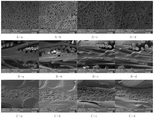SEM images of laminated nano composite according to launderings