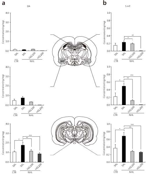 Effects of HGL on NHL-induced alterations of DA and 5-HT concentrations in the hippocampus, amygdala and ventral tegmental area.