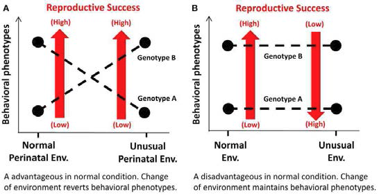 Schematic diagrams illustrating the mechanisms underlying selection of disadvantageous genotypes over advantageous ones under specific conditions.