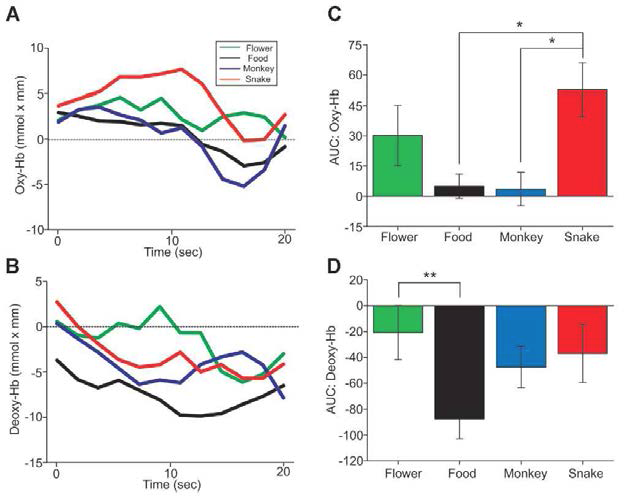 Oxy-Hb and deoxy-Hb changes in response to visual stimuli in different categories.