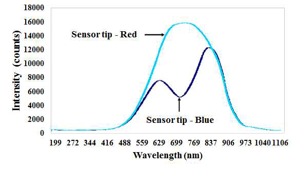 수분 반응 전과 후의 센서팁 변색에 따른 광 강도 변화