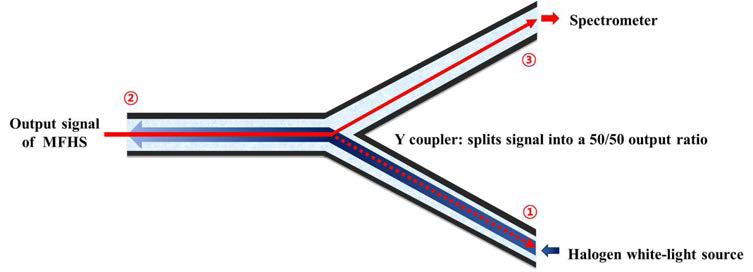 Y-커플러 내부에서 발생하는 빛의 경로