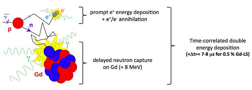 Schematic diagram for inverse beta decay in Gd-loaded liquid scintillator