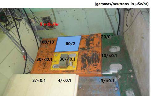 Dose of Background Radiations