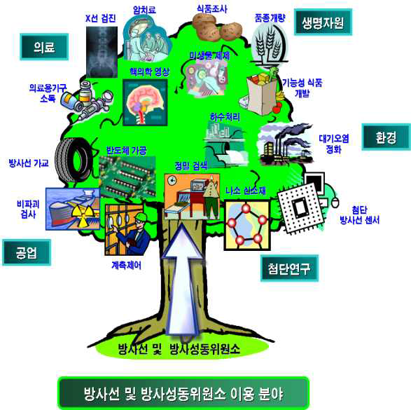 방사선 기술 적용의 기술 수목도