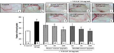 (b). Antiangiogenesis effect of N. nucifera leaf extract