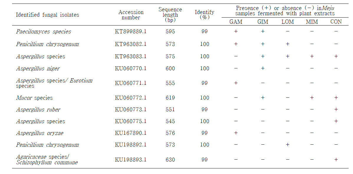 Fungal isolates in Meju samples fermented with single and combined plant extracts