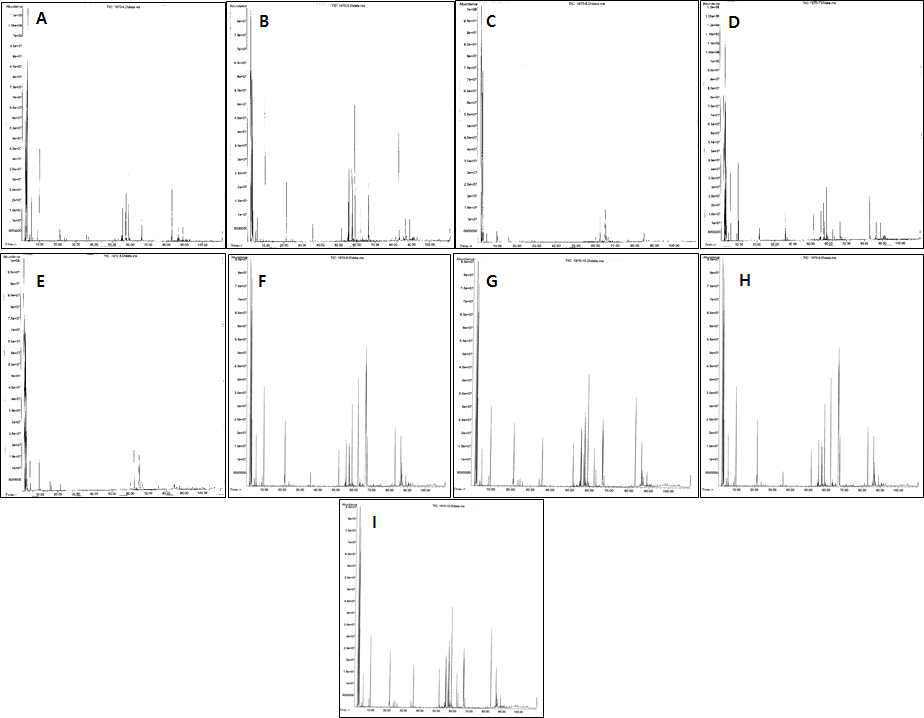 GC-MS chromatograms