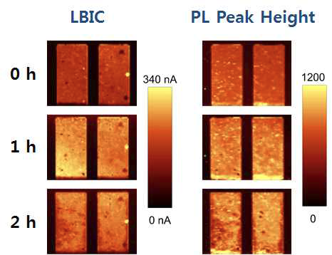 전기장 인가 시간에 따른 u-PL intensity 및 LBIC intensity 변화