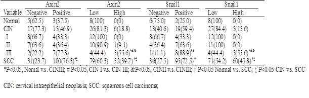Axin2 및 snail 발현이 정상 자궁경부암 조직, 자궁경부암 전단계 조직 및 자궁경부암 조직에서의 특징