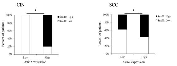 자궁경부암 전단계 (CIN) 조직과 자궁경부암 조직에서 Axin2 및 Snail 발현의 상관성을 확인 함