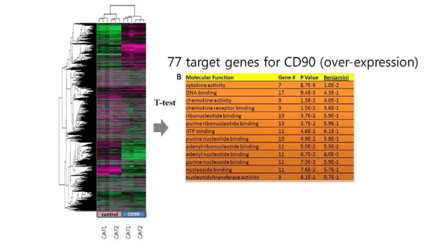 cDNA microarray and data analysis