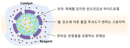 항상성 구현을 위한 마이크로캡슐의 구성