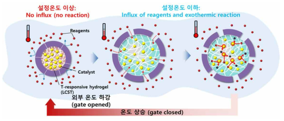 외부 온도 하강에 따른 항상성 유지 기작