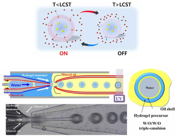 LCST를 갖는 캡슐막의 온도에 따른 투과도 변화 (상단) 물/오일/물/오일 조성의 삼중액적 형성을 위한 미세유체소자 (하단)