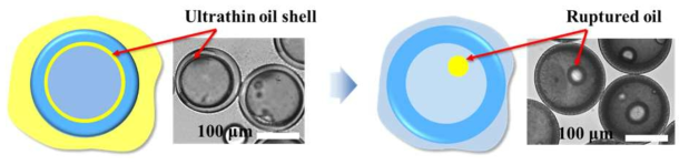 물/오일/물/오일 삼중 액적에서의 광중합 (좌), 재분산 및 오일막 제거를 통한 스마트 캡슐 형성 (우)