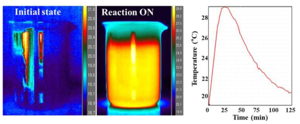 열화상카메라를 통해 관측한 옥살산의 촉매 반응에 따른 온도변화