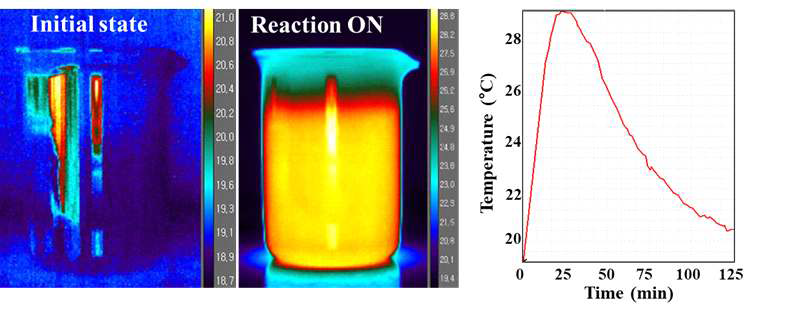 열화상카메라를 통해 관측한 옥살산의 촉매 반응에 따른 온도변화