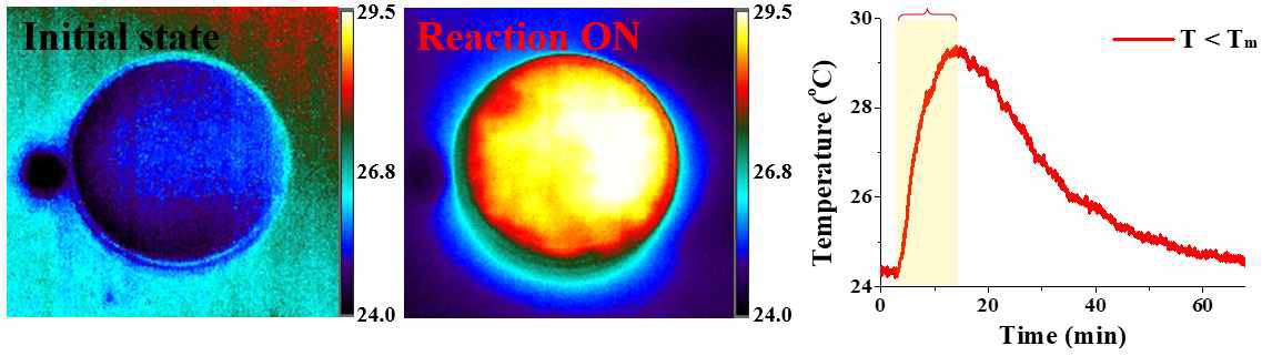 열화상카메라를 통해 관측한 캡슐에 의한 발열반응이 발생하는 저온 조건 (상변이 물질의 어는점보다 온도가 낮을 때 T<Tm, 반응 ON)