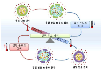 스마트 마이크로캡슐 기반 온도 항상성 달성 원리