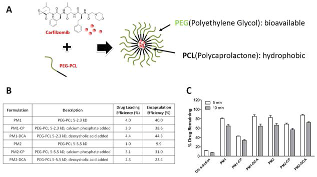 Carfilzomib의 polymer micelle 신제형의 모식도 (A), 개발된 제형에 대한 정보 (B) 및 간조직 homogenate을 이용한 in vitro 생체내 안전성 시험 결과 (C)