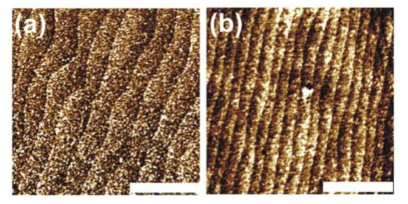 (a)LBSO15, (b)PA600 의 AFM 이미지.