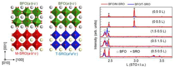 증착된 BFO/M-SRO 와 BFO/T-SRO 의 개략도.