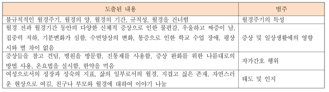 문헌고찰 결과 도출된 내용 및 범주