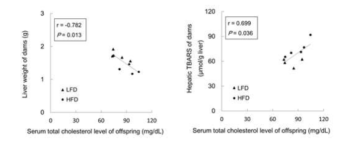 Correlation between serum cholesterol levels of offspring and maternal parameters