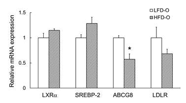 The mRNA levels of hepatic genes involved in cholesterol metabolism of offspring of dams fed LF and HF diets