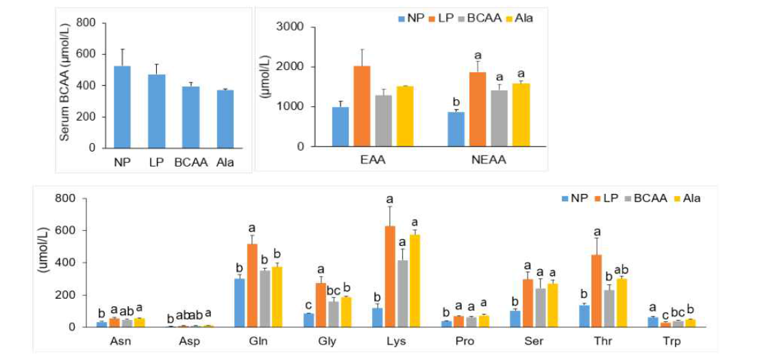 Fasting serum amino acid and Lys levels of dams fed NP, LP, BCAA, and Ala diets