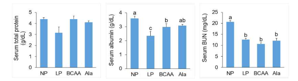 Fasting serum protein total protein, albumin, and BUN levels of dams fed NP, LP, BCAA, and Ala diets