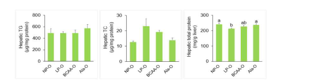 Hepatic TG, TC and total protein levels of PND21 male offspring from dams fed NP, LP, BCAA, and Ala diets