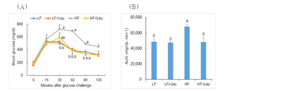 (A) Oral glucose tolerance test and (B) area under the curve (AUG) of PND98 male offspring of dams fed LF, LF+Leu, HF, and HF+Leu diets