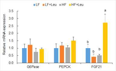 Hepatic glucose metabolism-related gene expression of PND105 male offspring of dams fed LF, LF+Leu, HF, and HF+Leu diets