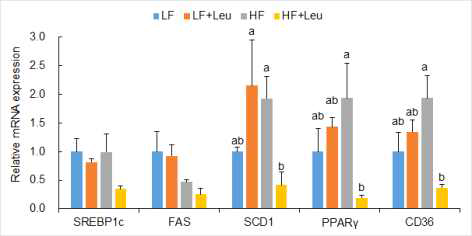 Hepatic lipid metabolism-related gene expression of PND105 male offspring of dams fed LF, LF+Leu, HF, and HF+Leu diets