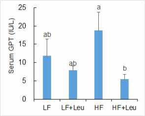 Fasting serum GPT levels of PND105 male offspring of dams fed LF, LF+Leu, HF, and HF+Leu diets