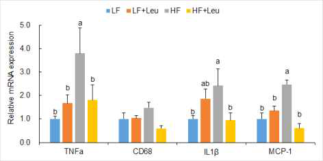 Hepatic inflammatory gene expressions of PND105 male offspring of dams fed LF, LF+Leu, HF, and HF+Leu diets