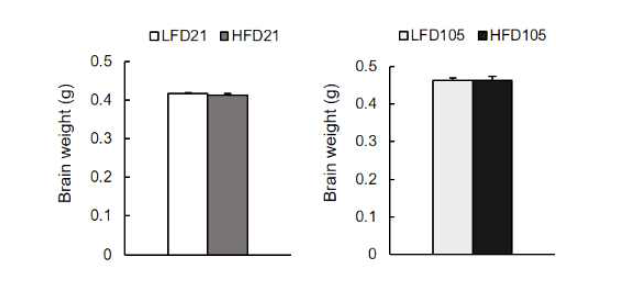 Effects of maternal high-fat diet consumption on brain weight of offspring