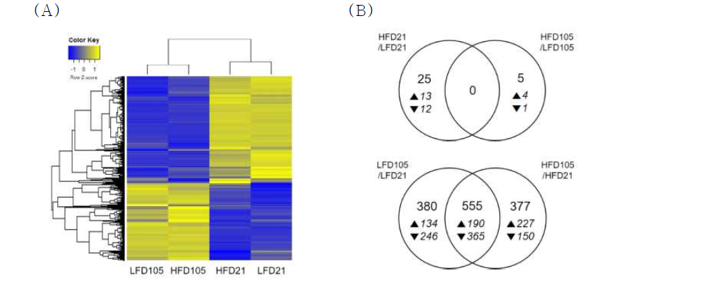 Effects of maternal fat consumption on gene expression profile of the offspring brain. (A) Two-dimensional hierachical clustering of DEGs. (B) Venn Diagram of the numbers of DEGs