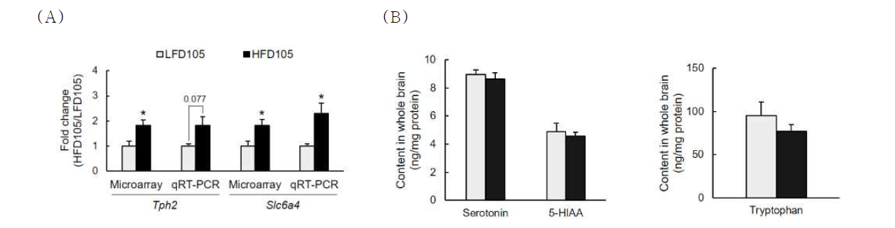 Effects of maternal high-fat diet consumption on serotonin metabolism in the brain of PD105 offspring