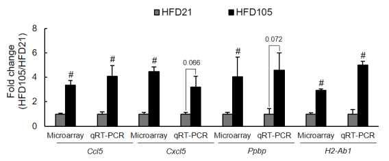 Effects of maternal high-fat diet consumption on inflammatory responses in the brain of offspring